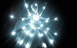 LED steltloper en lichtact boeken? De LED Prins en Licht Prinses vormen een opvallend duo met interactieve lichtperformance. Perfect voor festivals, winkelcentra en avond events.