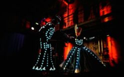 LED steltloper en lichtact boeken? De LED Prins en Licht Prinses vormen een opvallend duo met interactieve lichtperformance. Perfect voor festivals, winkelcentra en avond events.