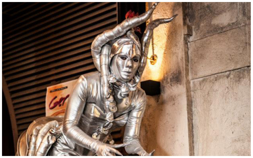 Alien Zilver Steltenlopers brengen futuristische, buitenaardse magie naar elk event. Met glinsterende kostuums en mysterieuze interactie zijn ze perfect voor festivals, winkelcentra en space-thema’s.