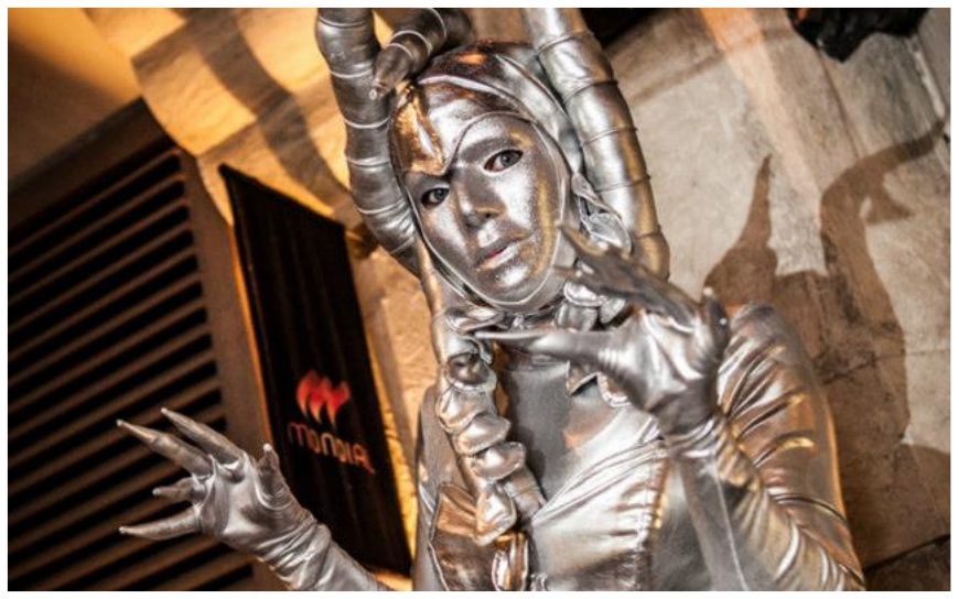 Alien Zilver Steltenlopers brengen futuristische, buitenaardse magie naar elk event. Met glinsterende kostuums en mysterieuze interactie zijn ze perfect voor festivals, winkelcentra en space-thema’s.