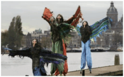 Verrijk jouw evenement met Bijzondere Vogels Steltenlopers - elegante ontvangst, festivalact of thematische charme. Flexibel inzetbaar, onvergetelijke ervaring!