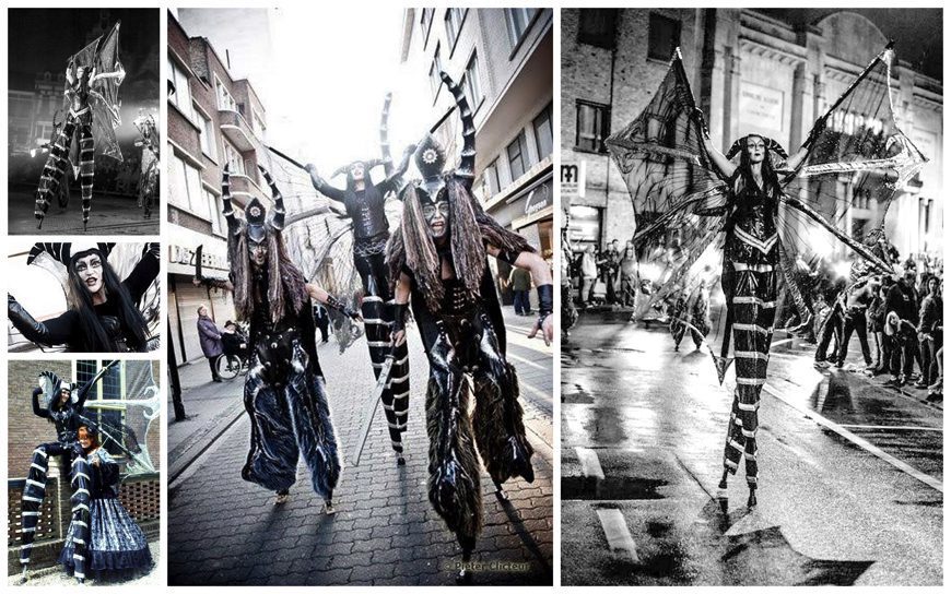 Black Queen Steltenlopers