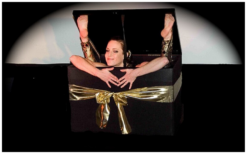 Betoverende luchtacrobatiek met keuze uit 2 acts zoals Ring, Net, Touw, Trapeze, Tissue, of Grond Acrobatiek. Ontdek de magie van beweging en zwaartekracht!