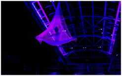 Betoverende luchtacrobatiek met keuze uit 2 acts zoals Ring, Net, Touw, Trapeze, Tissue, of Grond Acrobatiek. Ontdek de magie van beweging en zwaartekracht!