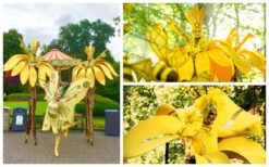 Laat de Gouden Bloemen Steltenlopers de zomerse magie naar uw evenement brengen!
