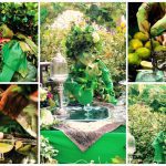 Laat de betovering beginnen met de Groene Fee - een magische animatie act die jouw evenement transformeert in een betoverende belevenis!