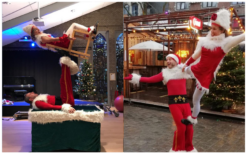 Betover je kerstevenement met de unieke grond acrobatiek show van de Kerst Acrobaten. Interactief, feestelijk en magisch entertainment. Boek nu!