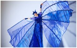 Rood wit blauw steltlopers zorgen voor vrolijk en feestelijk entertainment. Deze steltenact is perfect voor Koningsdag, festivals en winkelcentra en brengt een echte Hollandse sfeer.