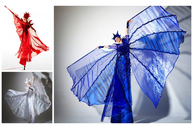 Rood Wit Blauw Steltenlopers