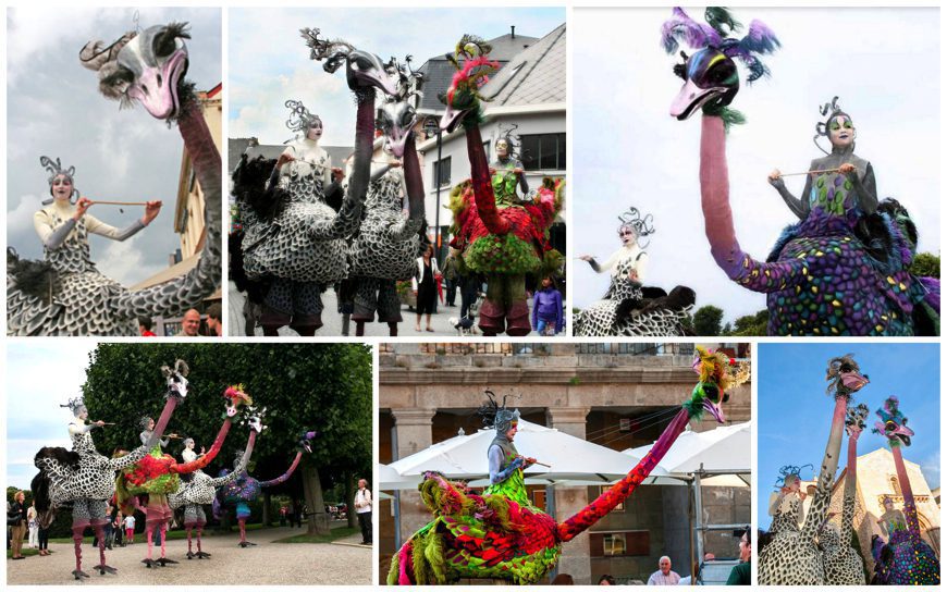 Ervaar de majestueuze parade van Struisvogels Steltenlopers en breng een kleurrijk en vriendelijk element naar uw evenement!