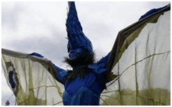 Pauwen Steltenlopers met kleurrijke veren en sierlijke bewegingen brengen magie, elegantie en kleur naar elk evenement. Een opvallende blikvanger voor festivals, winkelcentra, ontvangst en themafeesten.