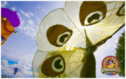 Pauwen Steltenlopers met kleurrijke veren en sierlijke bewegingen brengen magie, elegantie en kleur naar elk evenement. Een opvallende blikvanger voor festivals, winkelcentra, ontvangst en themafeesten.