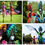 Ontdek de betoverende dans vanKleurige Vogels Steltenlopers. Een magisch schouwspel vol prachtige veren en exotische charme voor elk evenement.