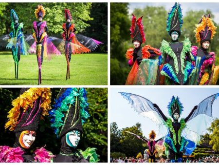 Ontdek de betoverende dans vanKleurige Vogels Steltenlopers. Een magisch schouwspel vol prachtige veren en exotische charme voor elk evenement.