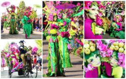 Ervaar de magie van de lente met de Parade van Lente - een visueel festijn van bloemen, vreugde en betovering!