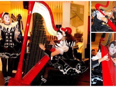 Pierrots met Harp en Dans: Betoverend samenspel van muziek en ballet. Boek nu voor een magische ervaring!