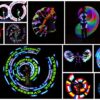 Betoverend Spektakel: Spinning LED Ballz Choreografie voor een Visueel Feest van Licht en Beweging!