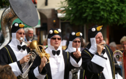 Dit Pinguïns Dixieland Orkest speelt een voor iedereen herkenbaar repertoire in dixie-stijl. Boek nu!