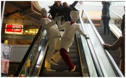 Animatie Duo Rood Wit zorgt voor opvallend entertainment als levend standbeeld of mobiele act. Dit duo is ideaal voor ontvangst, winkelcentra en beurzen en brengt sfeer met een rood wit thema.