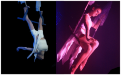 Beleef magische luchtacrobatiek met de Trapeze Act: betoverende bewegingen en samenwerking in een visueel spektakel!