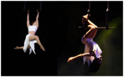 Beleef magische luchtacrobatiek met de Trapeze Act: betoverende bewegingen en samenwerking in een visueel spektakel!