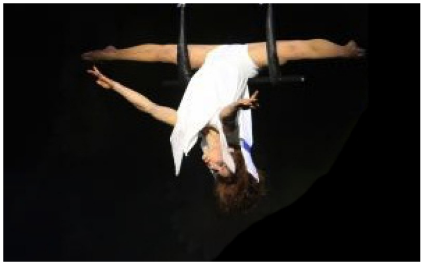 Beleef magische luchtacrobatiek met de Trapeze Act: betoverende bewegingen en samenwerking in een visueel spektakel!