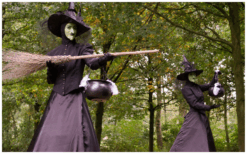 Boze Heksen Steltenlopers zorgen voor spanning, magie en mysterie op jouw evenement. Perfect voor Halloween, horror en fantasy thema’s. Boek deze indrukwekkende steltenact voor onvergetelijk entertainment!