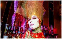 Boek Hoogbenige Diva’s op Stelten voor elegant en exotisch entertainment. Perfect voor festivals, ontvangsten en thema-events. Stijlvol, kleurrijk en betoverend stelten-entertainment!