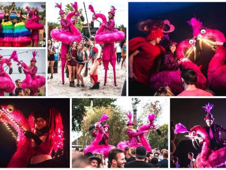 Kleurrijke Flamingo's Steltenlopers brengen interactieve vreugde naar uw buitenfestival. Boek nu voor een betoverende ervaring vol kleur en charme!