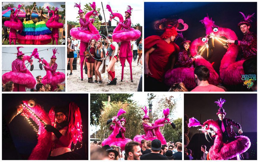 Kleurrijke Flamingo's Steltenlopers brengen interactieve vreugde naar uw buitenfestival. Boek nu voor een betoverende ervaring vol kleur en charme!