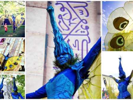 Majestueuze Andere Pauwen Steltenlopers betoveren uw evenement. Voeg kleur en gratie toe aan uw gelegenheid. Boek nu voor een visueel spektakel!