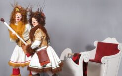 Bijzondere Rendieren met Arrenslee kerst act. Interactieve winter act met ritjes voor gasten. Ideaal voor winkelcentra, kerstmarkten en events met winter of kerst thema.