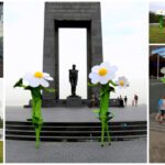 Natuurlijke Madeliefjes Steltenlopers: Betoverend bloemrijk spektakel voor elk evenement. Boek nu en laat uw locatie stralen als een veld vol bloemen!