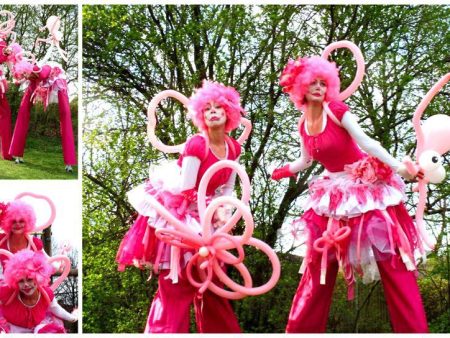 Betoverende Roze Circus Clowntjes Steltenlopers: Kleurrijk vermaak voor evenementen. Interactieve vreugde en charme voor kinder- en circusfeestjes.