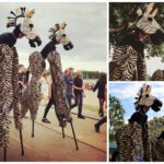 Zebra Steltenlopers: Levendige Jungle Beleving. Boek nu voor Exotisch Entertainment!