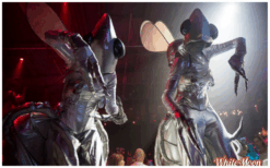 De Zilveren Vliegen Steltenlopers brengen futuristische ruimte-sfeer naar elk evenement. Glinsterend, buitenaards en indrukwekkend. Perfect voor festivals, winkelcentra en space-thema’s. Boek deze unieke act!