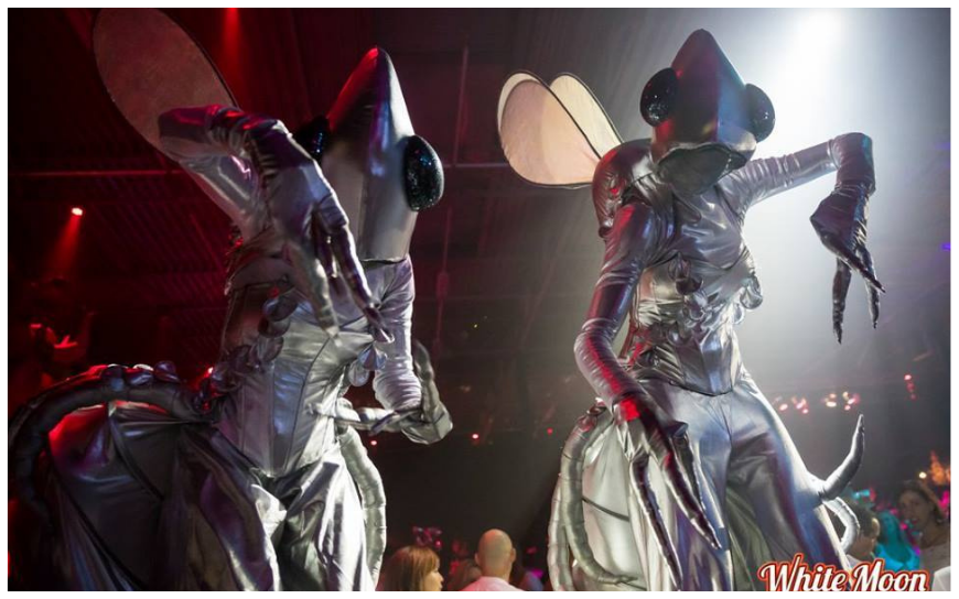 De Zilveren Vliegen Steltenlopers brengen futuristische ruimte-sfeer naar elk evenement. Glinsterend, buitenaards en indrukwekkend. Perfect voor festivals, winkelcentra en space-thema’s. Boek deze unieke act!