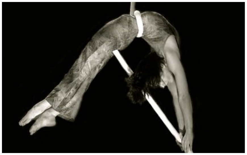 Lucht Acrobate met Touw - Afbeelding 3