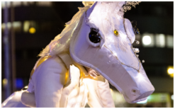 Ervaar magische avonden met Witte Paarden by Night Steltenlopers. Betoverend, veelzijdig en LED-verlicht voor elk feest! Boek nu voor onvergetelijk entertainment!