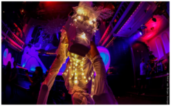 Ervaar magische avonden met Witte Paarden by Night Steltenlopers. Betoverend, veelzijdig en LED-verlicht voor elk feest! Boek nu voor onvergetelijk entertainment!