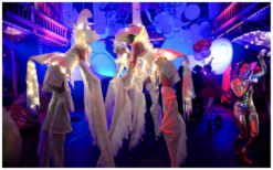 Ervaar magische avonden met Witte Paarden by Night Steltenlopers. Betoverend, veelzijdig en LED-verlicht voor elk feest! Boek nu voor onvergetelijk entertainment!