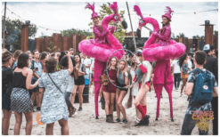 Kleurrijke Flamingo’s Steltenlopers brengen vrolijkheid, interactie en opvallende roze elegantie naar elk buitenfestival. Perfect voor ontvangst, winkelcentra, kinderentertainment en thema’s in dier- of roze stijl.