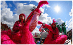 Kleurrijke Flamingo’s Steltenlopers brengen vrolijkheid, interactie en opvallende roze elegantie naar elk buitenfestival. Perfect voor ontvangst, winkelcentra, kinderentertainment en thema’s in dier- of roze stijl.