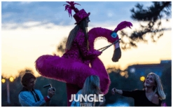 Kleurrijke Flamingo’s Steltenlopers brengen vrolijkheid, interactie en opvallende roze elegantie naar elk buitenfestival. Perfect voor ontvangst, winkelcentra, kinderentertainment en thema’s in dier- of roze stijl.