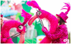 Kleurrijke Flamingo’s Steltenlopers brengen vrolijkheid, interactie en opvallende roze elegantie naar elk buitenfestival. Perfect voor ontvangst, winkelcentra, kinderentertainment en thema’s in dier- of roze stijl.