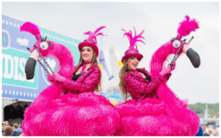 Kleurrijke Flamingo’s Steltenlopers brengen vrolijkheid, interactie en opvallende roze elegantie naar elk buitenfestival. Perfect voor ontvangst, winkelcentra, kinderentertainment en thema’s in dier- of roze stijl.
