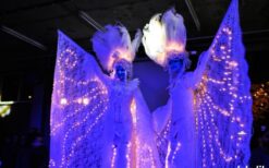 Venetiaanse Witte Winter Engelen By Night boeken? Stijlvolle stelten act met licht voor winterevents, winkelcentra en bruiloften. Luxe uitstraling en sfeervolle mobiele act.