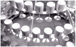 Champagne Diva Moët & Chandon Ice Impérial: Luxe catering op wielen! 🥂✨ Geef uw event een stijlvolle uitstraling met de Champagne Diva Moët & Chandon Ice Impérial! Haar elegante rok op wielen draagt meer dan 100 glazen of hapjes en zorgt voor een luxe beleving. De LED-verlichting voegt extra flair toe, perfect voor avondfeesten en gala’s. Of het nu een bruiloft, bedrijfsfeest of beurs is, deze Diva past zich moeiteloos aan elk thema aan. Haar chique uitstraling en unieke presentatie maken elk event bijzonder. Boek nu en laat uw gasten genieten van klasse en elegantie op wielen!