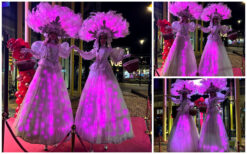 Frozen by Night Steltenlopers met roze LED-verlichting