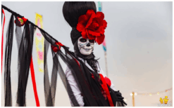 Halloween Steltenlopers brengen spanning, mysterie en griezelige sfeer naar elk evenement. Perfect voor festivals, winkelcentra en ontvangst. Een opvallende Halloween-act vol magie en horrorbeleving.